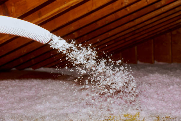 Best Specialized Insulation Services in Parma, ID