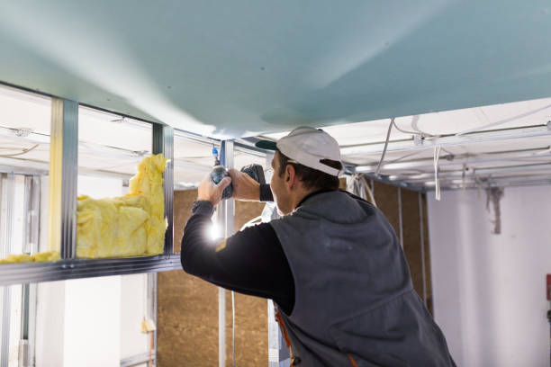 Types of Insulation We Offer in Parma, ID