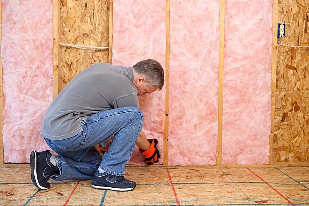 Best Geographic-Specific Insulation Services in Parma, ID