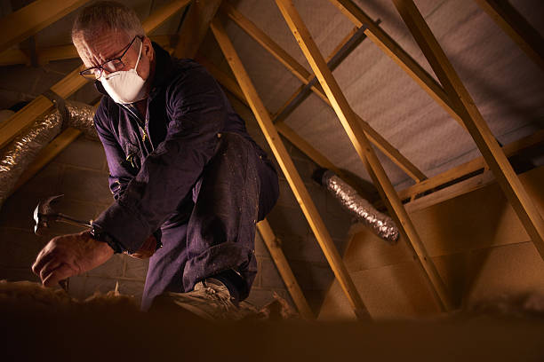 Types of Insulation We Offer in Parma, ID